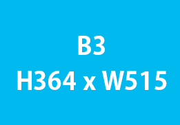 b3