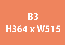 b3