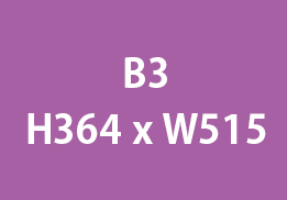 b3